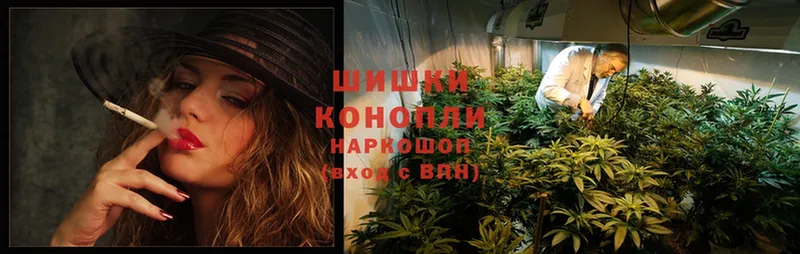 купить наркотик  Ревда  Канабис LSD WEED 